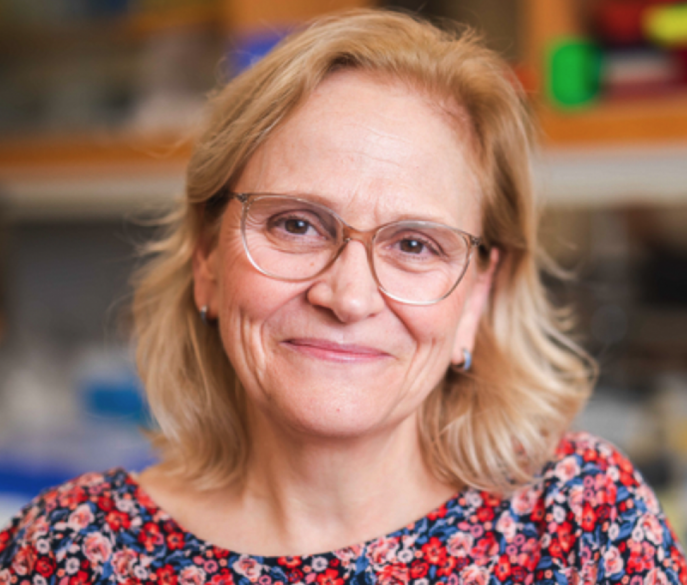 Dr Susan Alberts Headshot